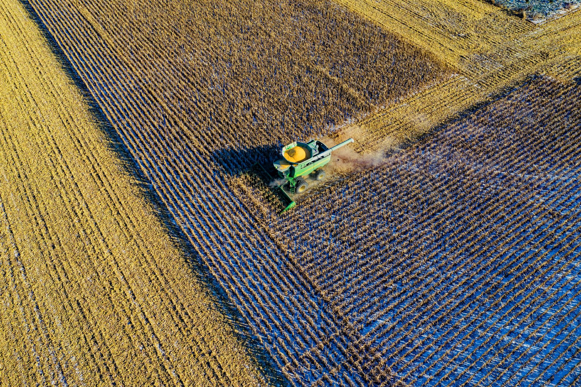 innovacin en agricultura